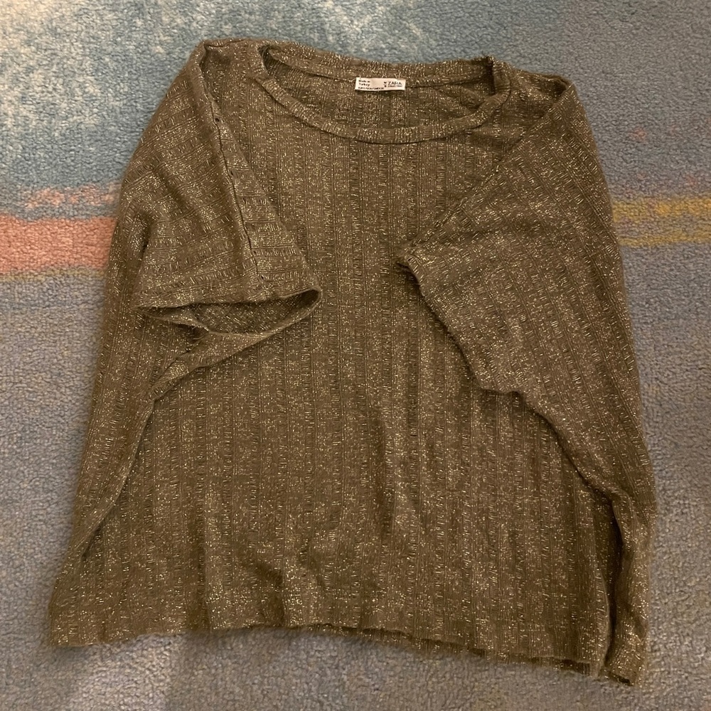 ZARA Metallic Cropped Dolman Short Sleeve Shirt